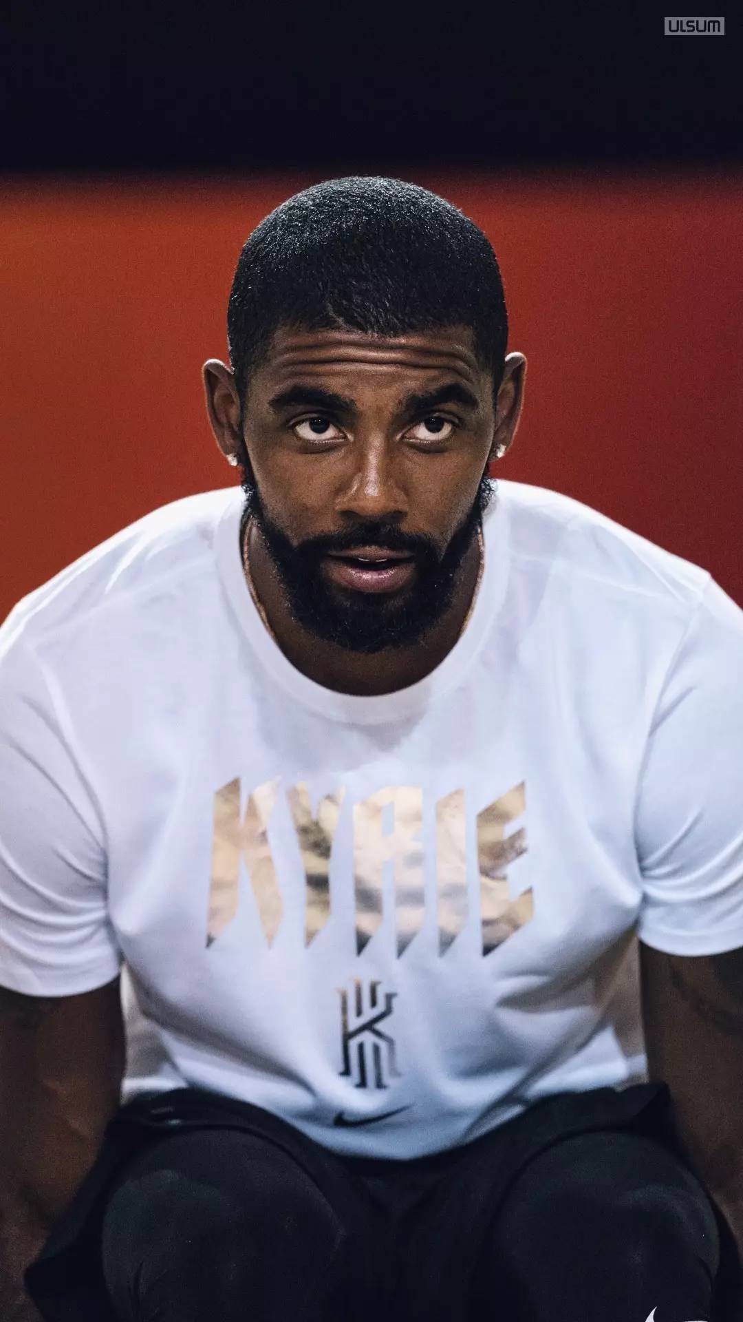 建立可检索 建立可检索